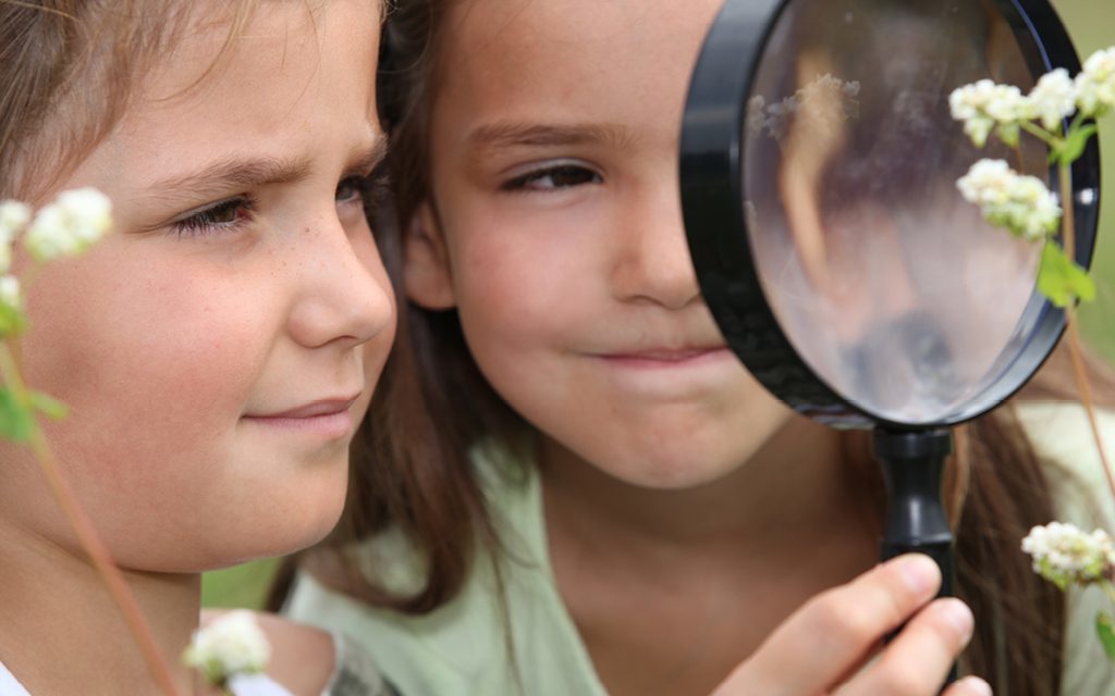 The 2019 Top 3 Best Water Sports Summer Camps in Alameda County