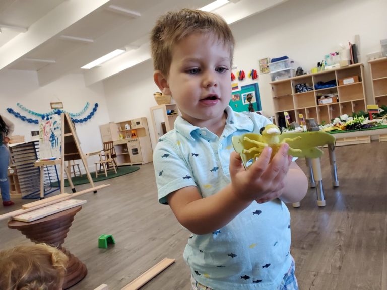 IMG 20200806 WA0014 1 768x576