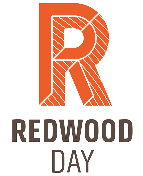 RDS logo full colord