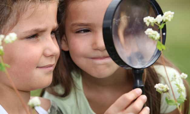 BEST SUMMER CAMPS IN THE EAST BAY