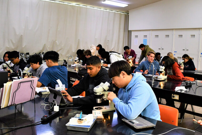 RCS Marketing Oct2022 8d 768x514