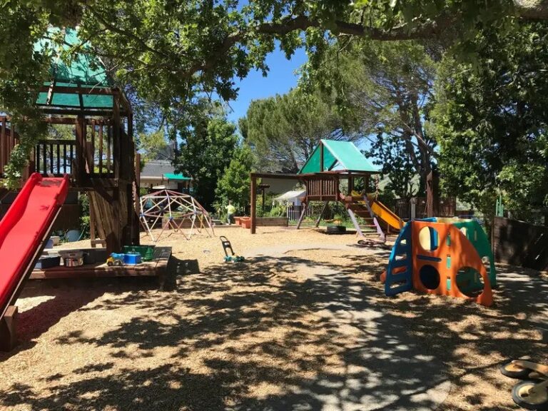 montissoriinmotioncoverphoto ezgif.com webp to jpg converter 1 768x576