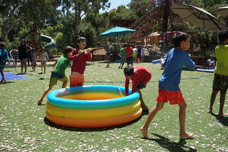 DSC03571 Larged 768x513